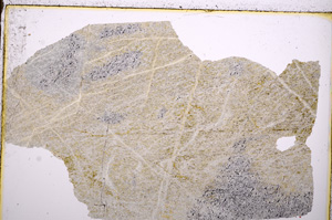 Plane Polarized, E17648