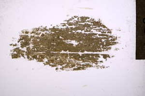 Plane Polarized, E17651/A
