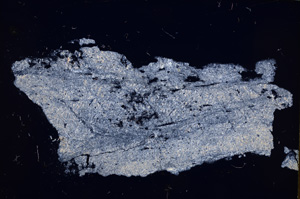 Cross Polarized, E17652
