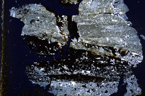 Cross Polarized, E17657