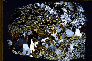 Cross Polarized, E17660