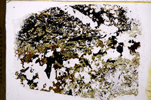 Plane Polarized, E17660