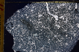 Cross Polarized, E17674