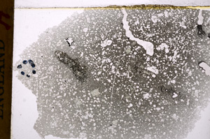 Plane Polarized, E17674