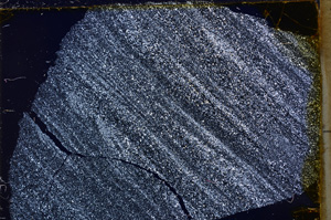 Cross Polarized, E17677