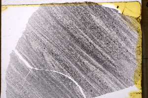 Plane Polarized, E17677