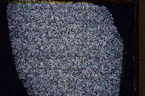 Cross Polarized, E17685