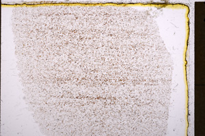 Plane Polarized, E17685