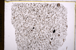 Plane Polarized, E17689