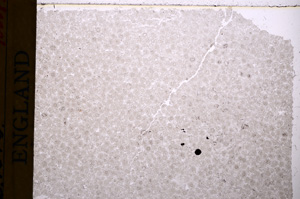 Plane Polarized, E17691