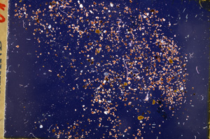 Cross Polarized, E17741