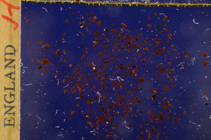 Cross Polarized, E17768