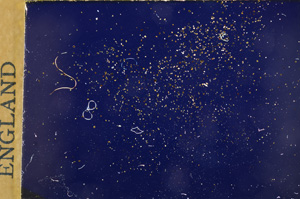 Cross Polarized, E17769