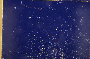 Cross Polarized, E17770