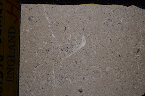 Cross Polarized, E17778