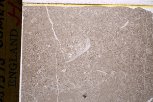 Plane Polarized, E17778