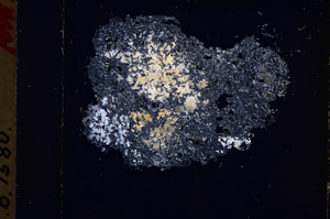 Cross Polarized, E17782/A