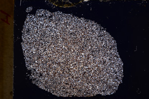 Cross Polarized, E17792