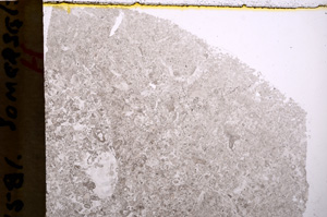 Plane Polarized, E17797