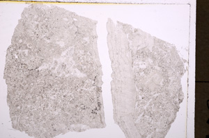 Plane Polarized, E17798