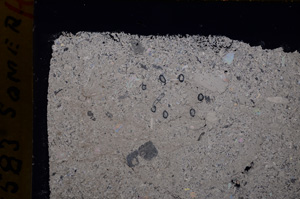 Cross Polarized, E17799