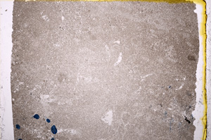Plane Polarized, E17816