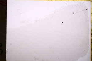 Plane Polarized, E17817