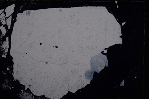 Cross Polarized, E17851