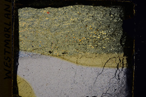 Cross Polarized, E17853