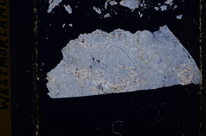 Cross Polarized, E17854