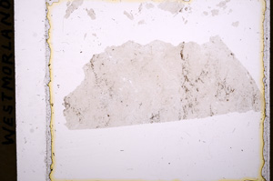 Plane Polarized, E17854