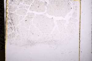Plane Polarized, E17856