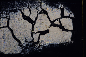 Cross Polarized, E17857