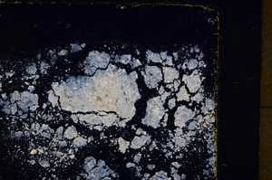 Cross Polarized, E17858