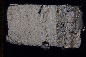 Cross Polarized, E17860