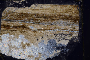 Cross Polarized, E17862