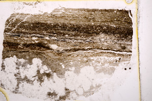 Plane Polarized, E17862