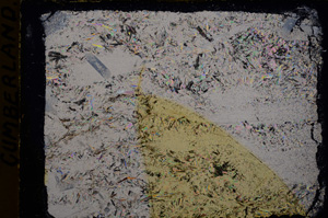 Cross Polarized, E17863