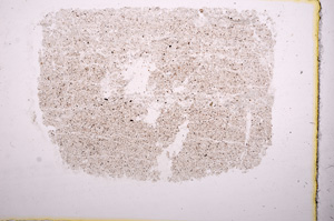 Plane Polarized, E17869