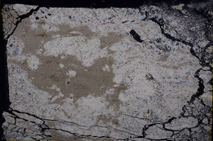 Cross Polarized, E17876