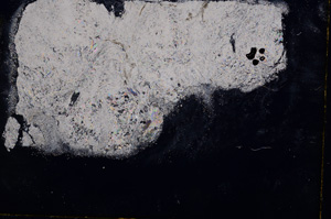 Cross Polarized, E17877