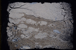 Cross Polarized, E17879