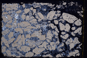 Cross Polarized, E17880