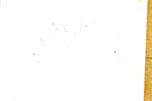 Plane Polarized, E17883