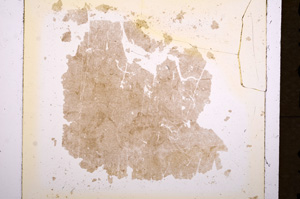 Plane Polarized, E17883/A