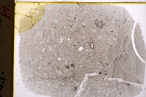 Plane Polarized, E17885