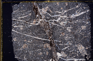 Cross Polarized, E17886