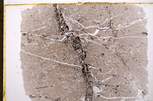 Plane Polarized, E17886