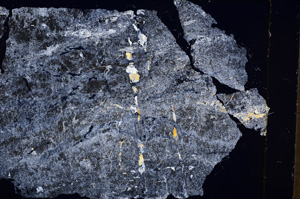 Cross Polarized, E17888