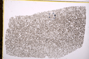 Plane Polarized, E17904